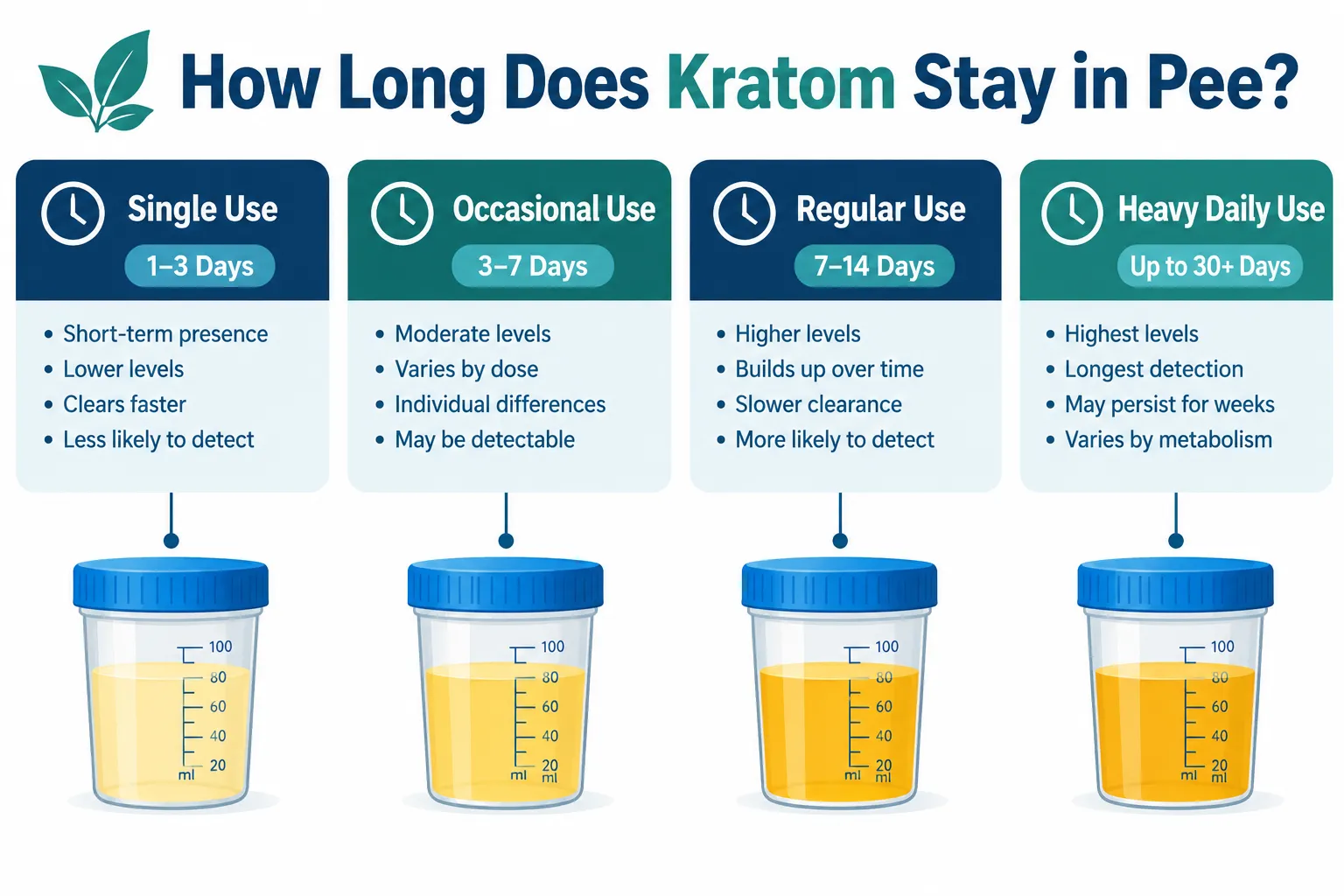 how-long-does-kratom-stay-in-pee-timeline-infographic