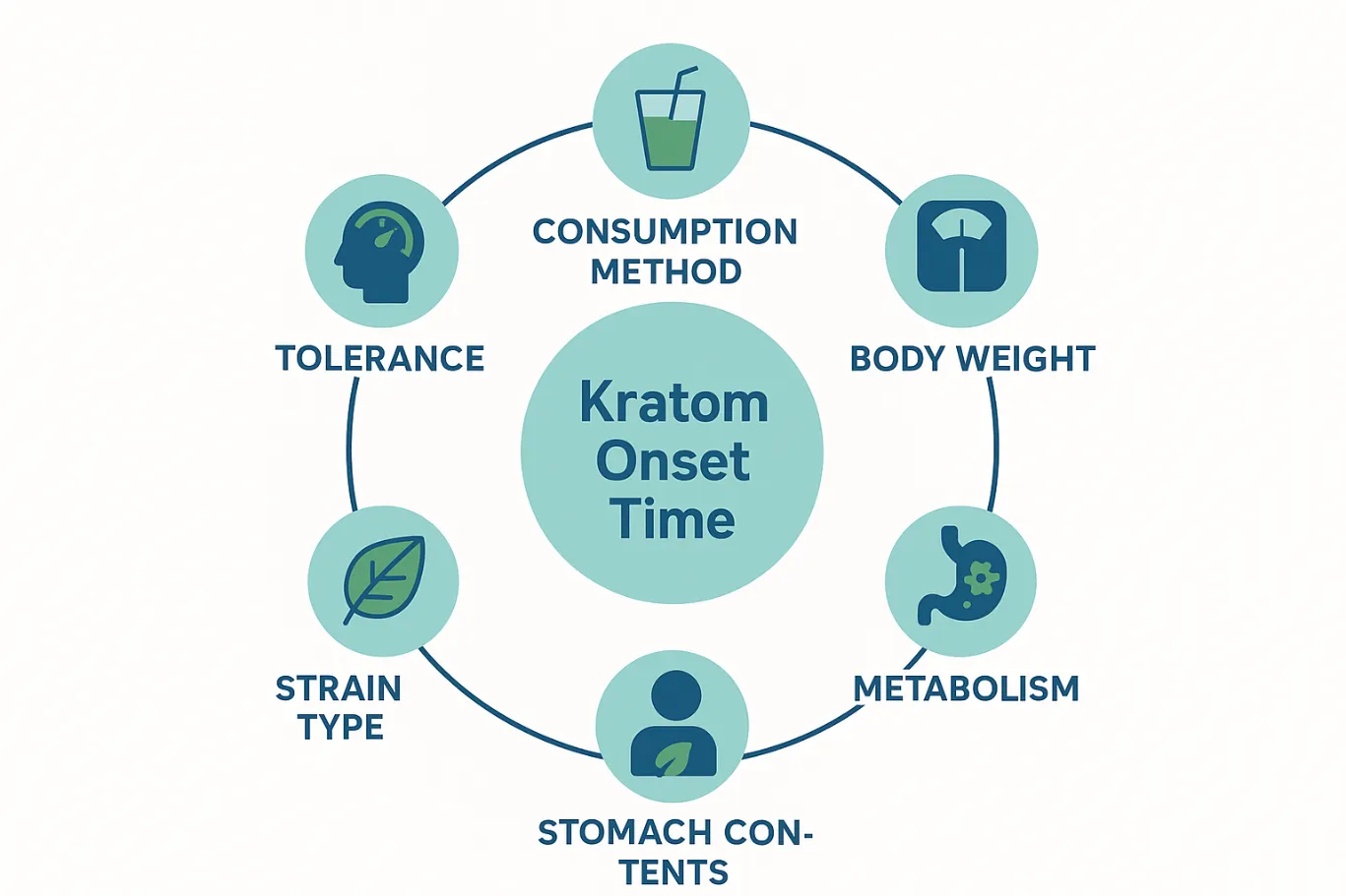 How Long Does Kratom Take to Work