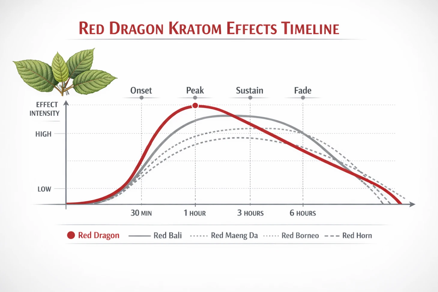 Red Dragon Kratom Review Effects Timeline