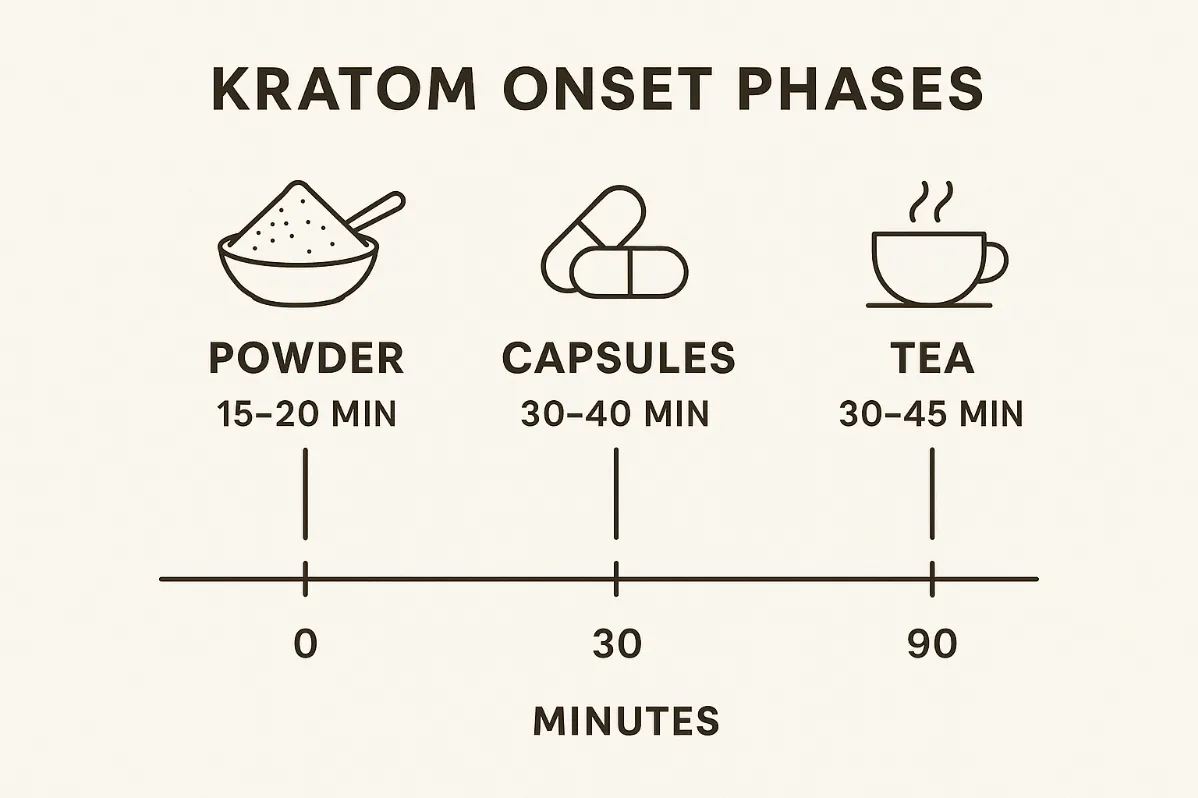 How Long for Kratom to Work After Taking It