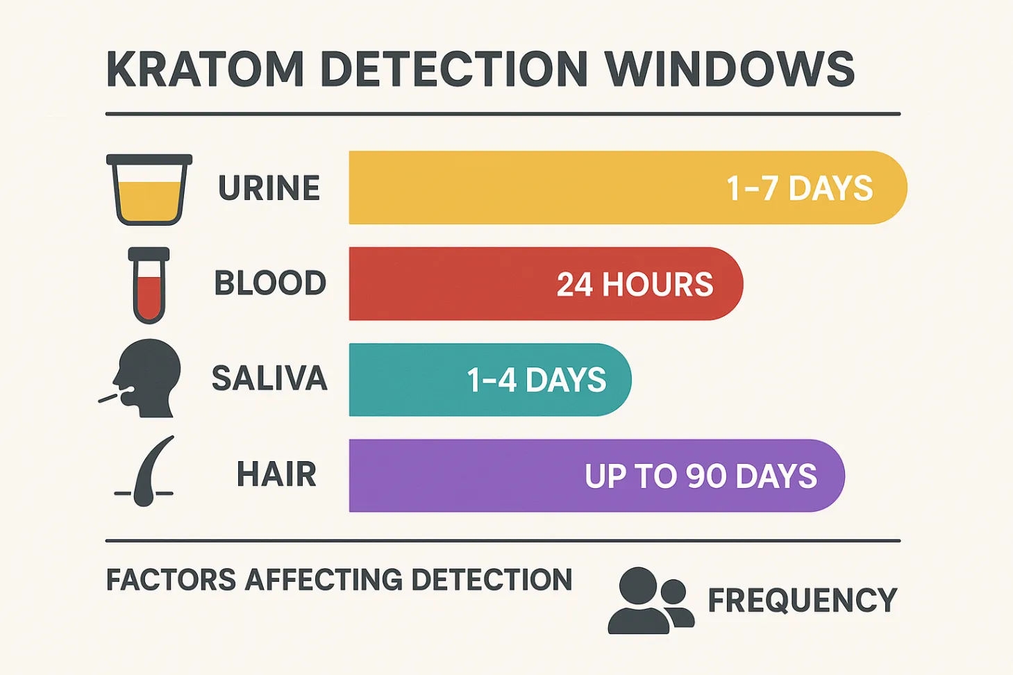How Long Does Kratom Stay in Your System