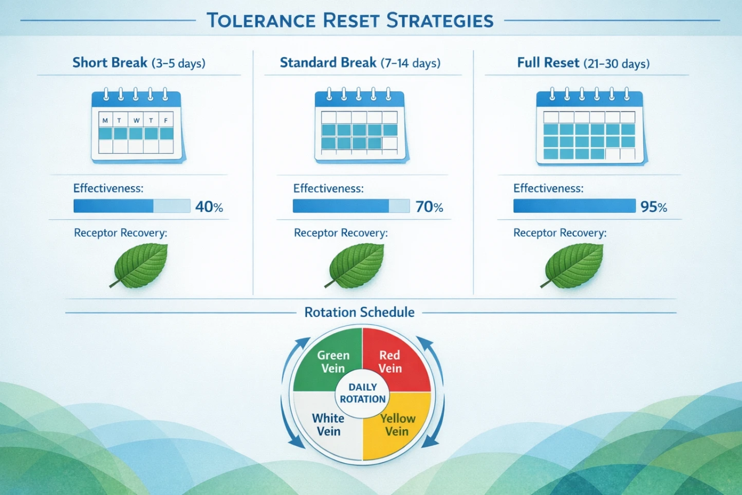Kratom Tolerance How Long It Lasts, Reset