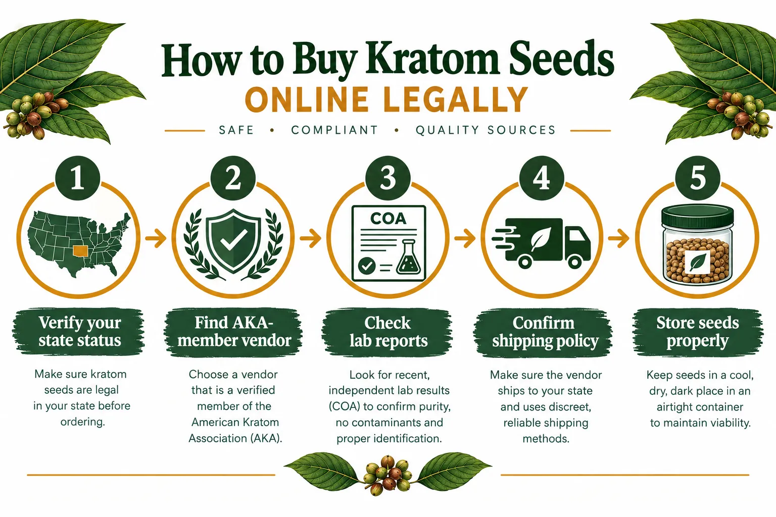 How to Buy Kratom Seeds Online